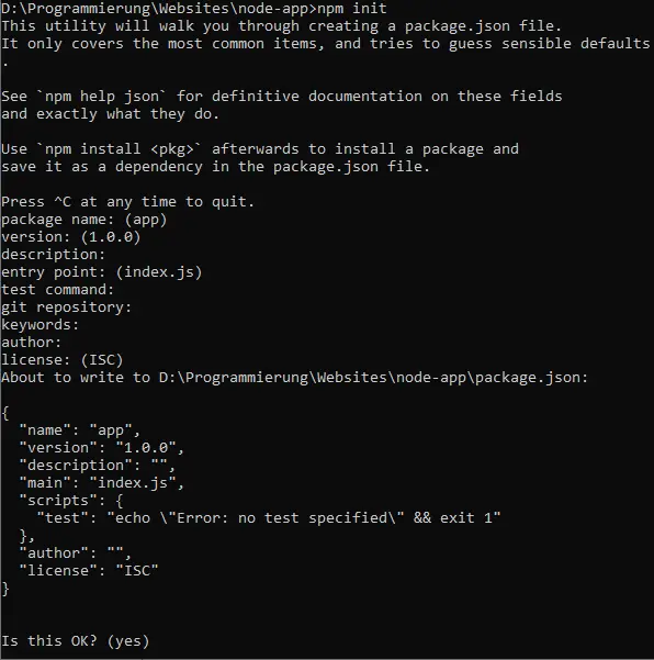 Konsolenausgaben nach dem npm init Befehl